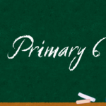 Primary 6